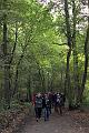 MG Herfstwandeling op 18-10-2015, org. Judith & Monke Menten (29)